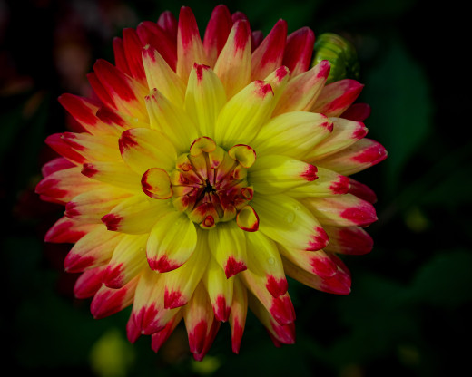 1687076 (a): :2560x2047